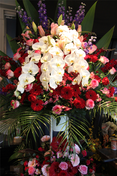 �X�^���h�� ���c�J��